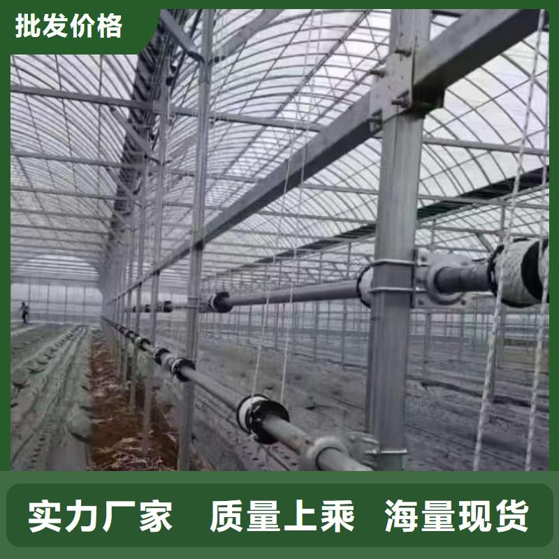 蔬菜大棚管详情电话咨询