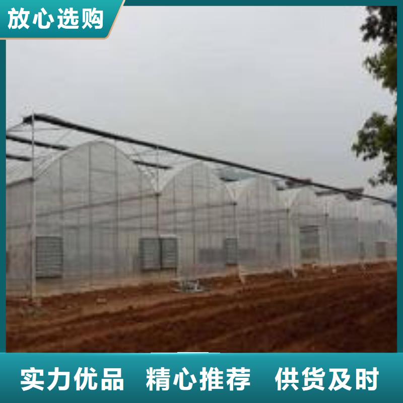 汤阴县蔬菜连栋温室大棚可定制