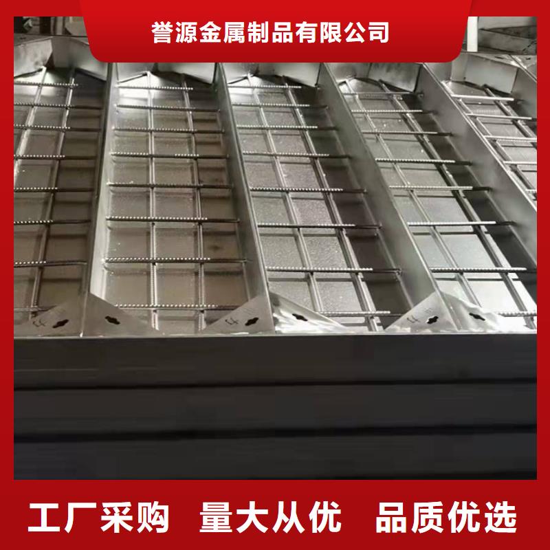 
球磨铸铁篦子
型号全