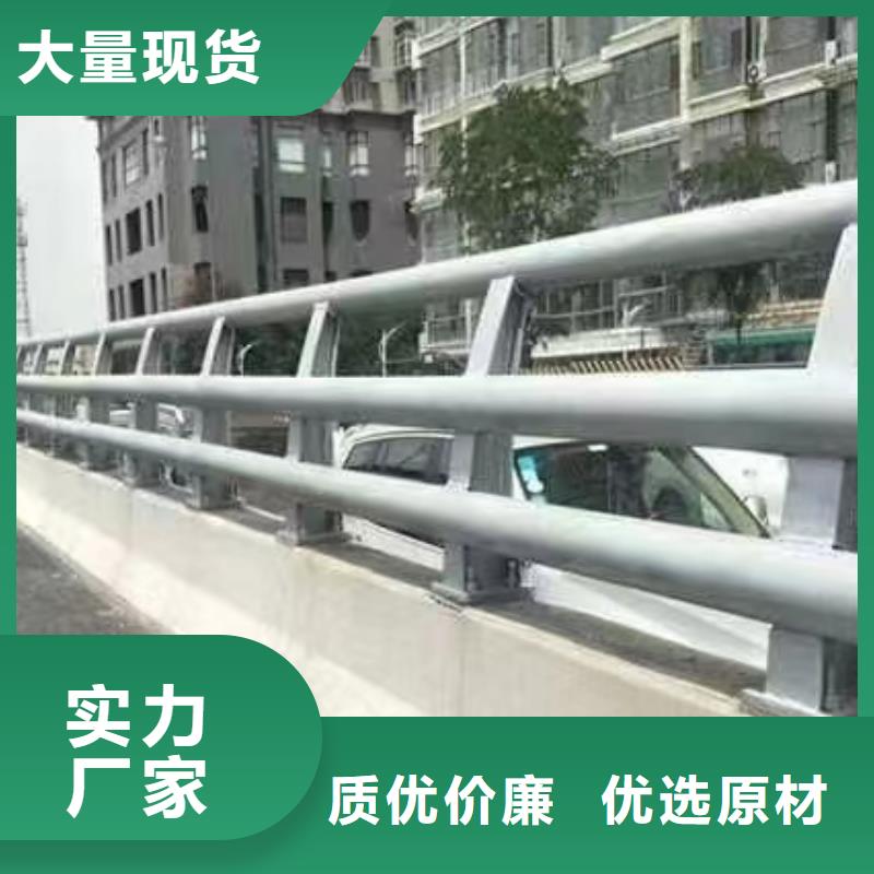 道路防撞护栏-实力厂家