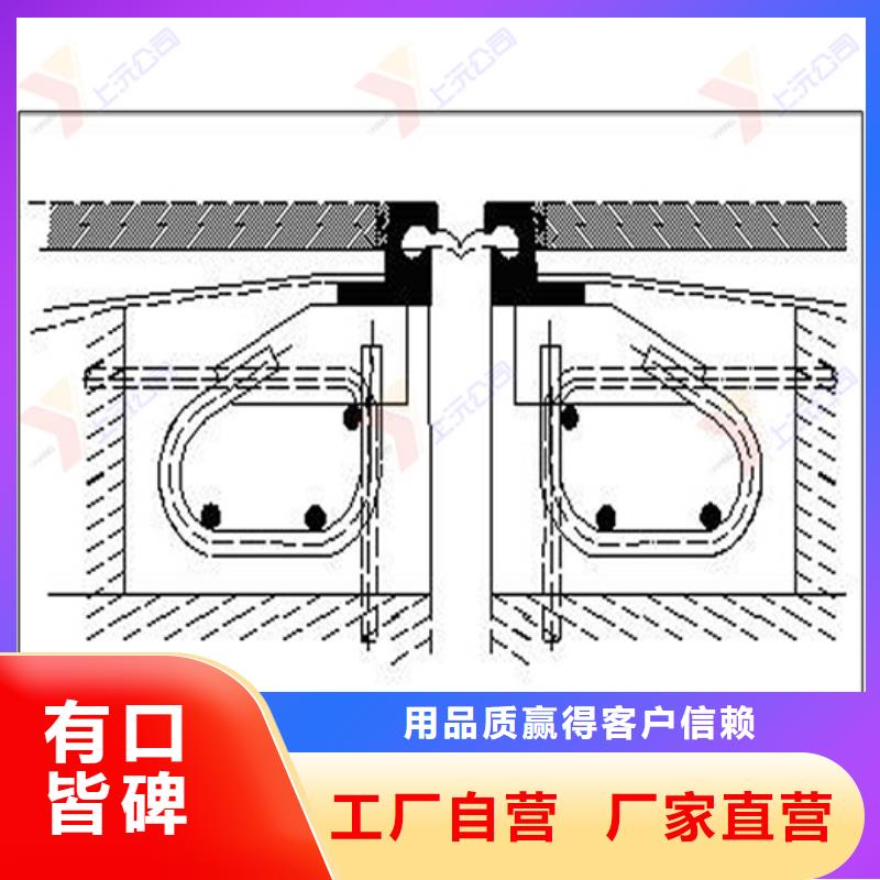 桥梁伸缩缝【止水带】源头厂家