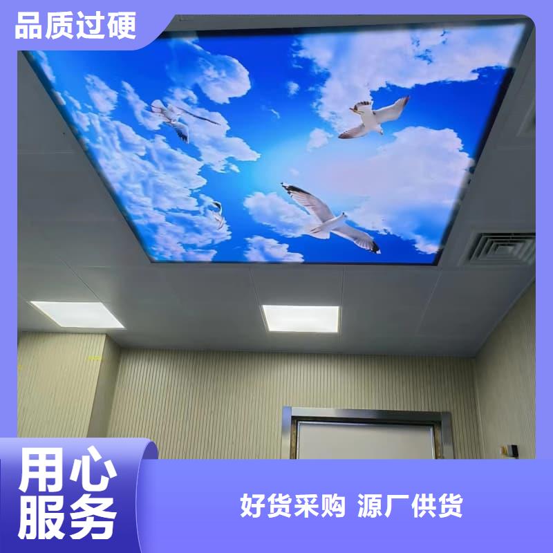 单开平移铅门-复购率高