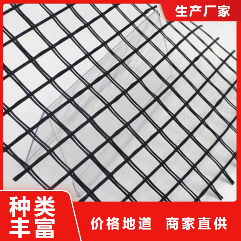 玻纤土工格栅土工滤网现货销售