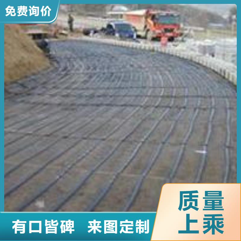 单向塑料土工格栅2024价格行情