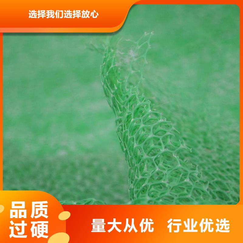 三维植被网 蜂巢格室优质原料