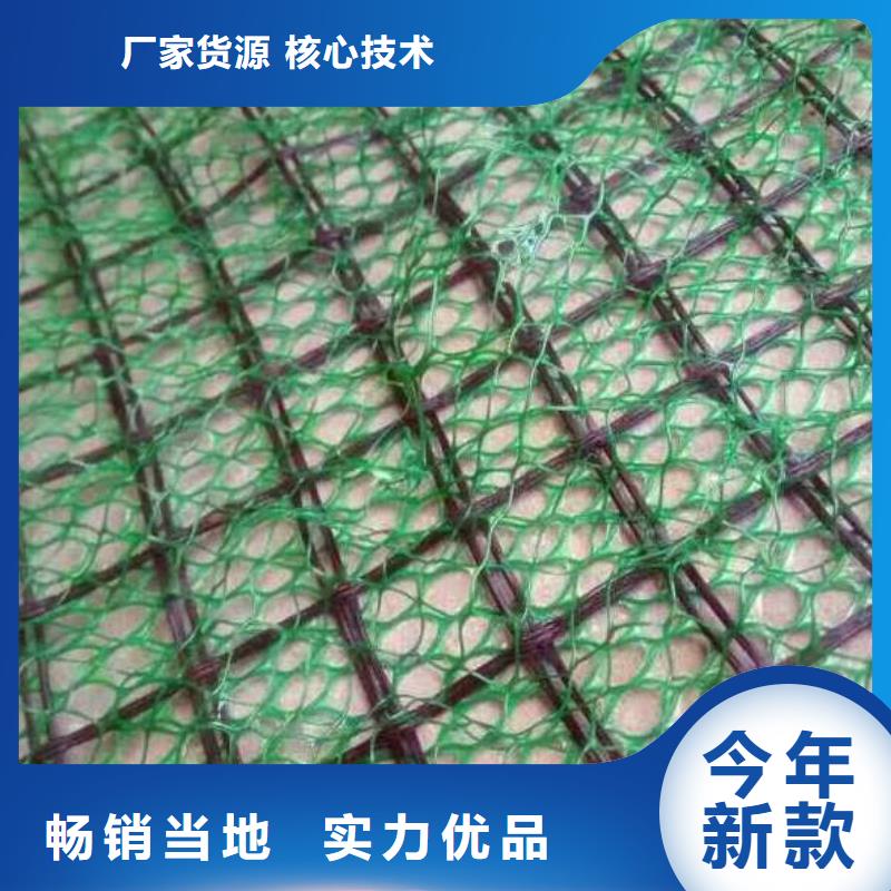 三维植被网三维土工网垫厂家型号齐全