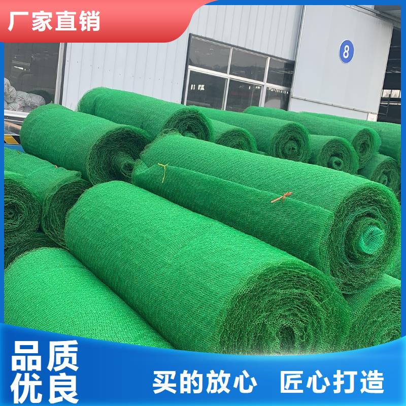 三维植被网,【双向拉伸塑料格栅】批发货源