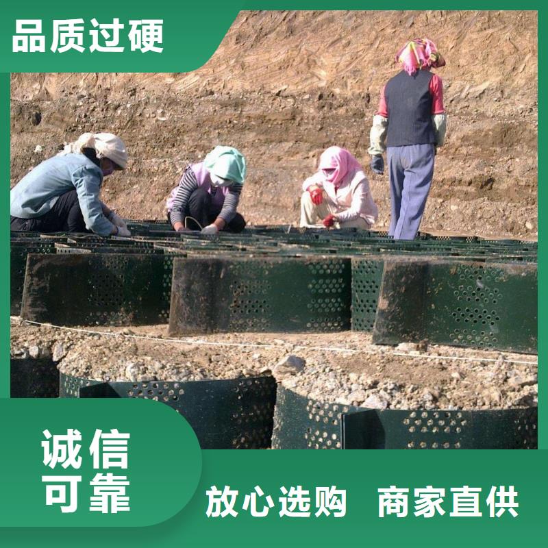 土工格室_蜂巢土工格室价格_护坡土工格室厂家