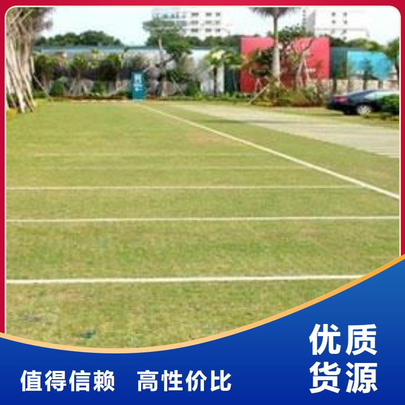 植草格-土工布优质货源