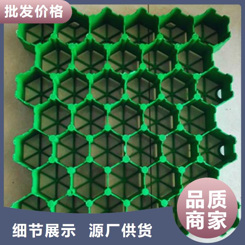 植草格-土工布优质货源