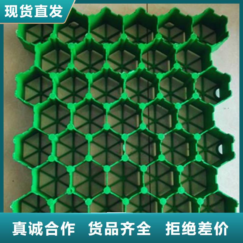 【植草格-TPO防水卷材精工细致打造】