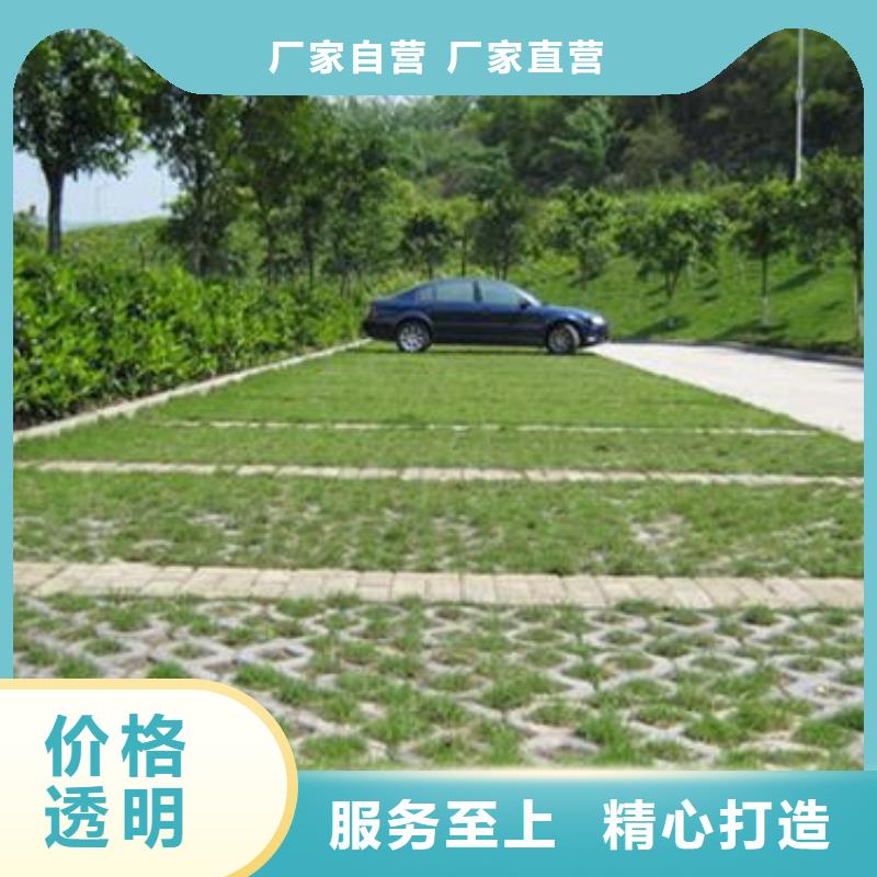 植草格-土工布优质货源