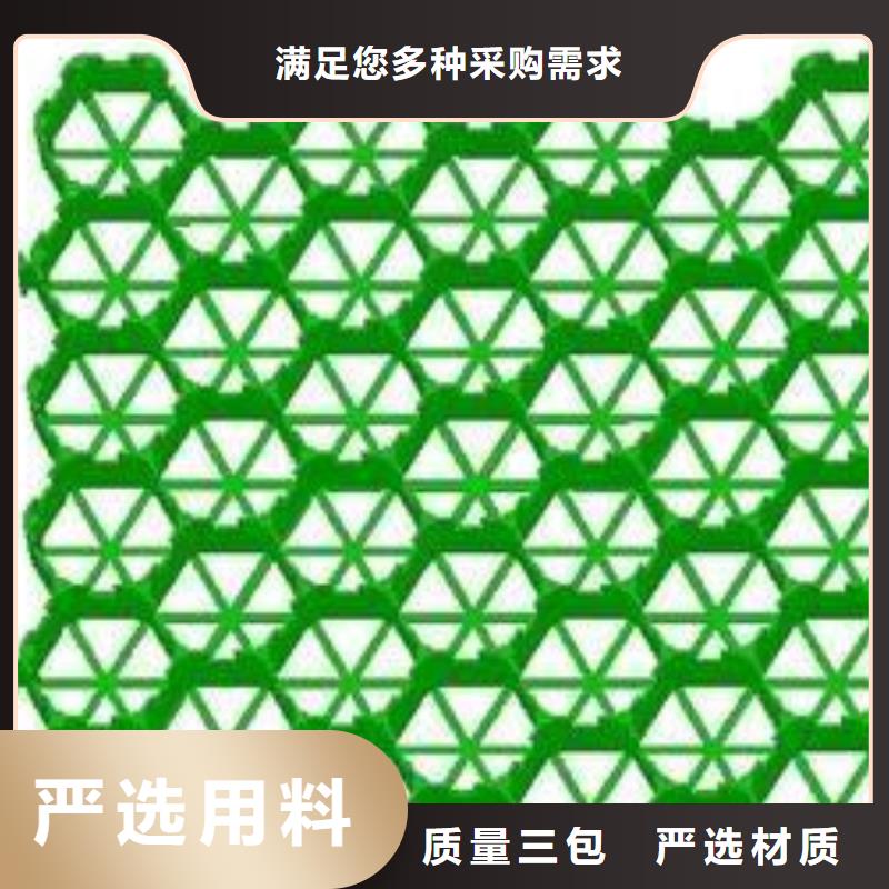 植草格【土工布】实力雄厚品质保障
