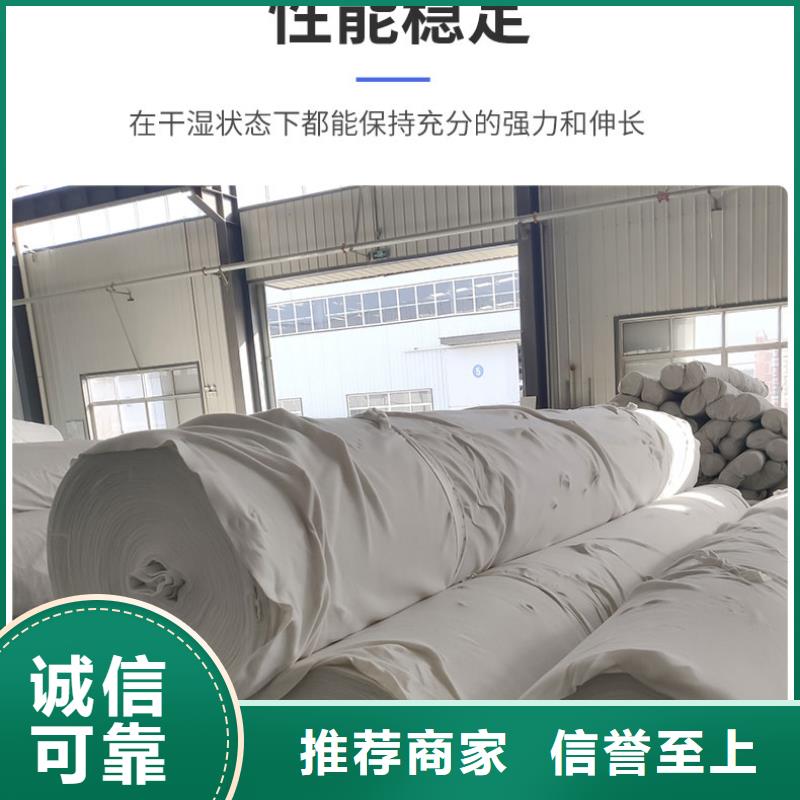 防尘防渗土工布规格型号齐全--可定制