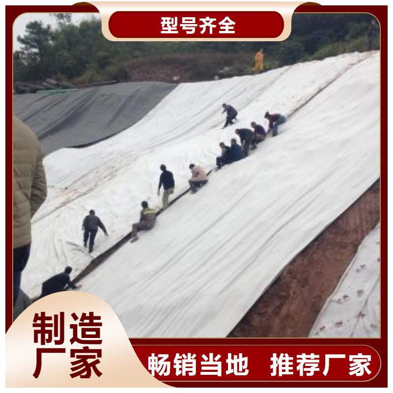 膨润土防水毯塑料土工格栅值得买