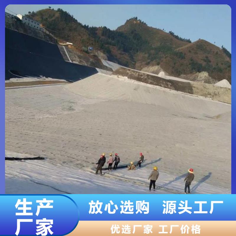 2024钠基膨润土防水毯生产厂家/现货可定制