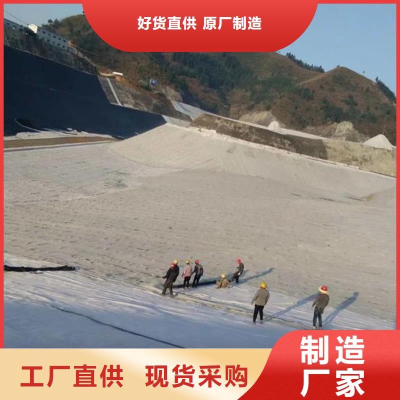 膨润土防水毯【凸结点钢塑土工格栅】规格型号全