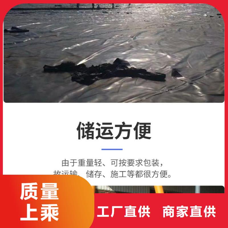 防渗复合土工膜规格型号齐全/可定制