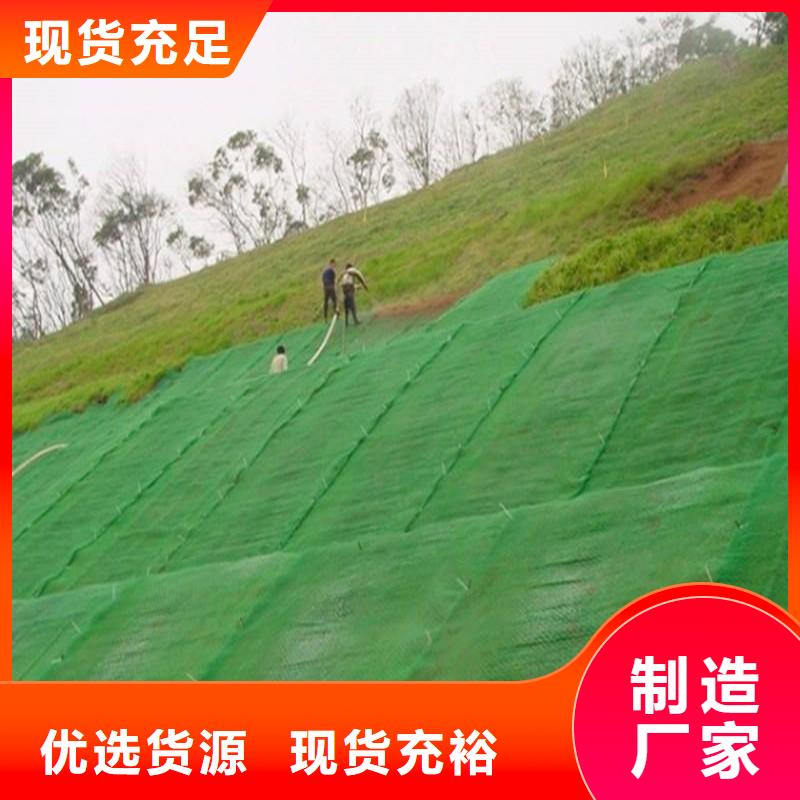 塑料三维植被网生产基地/发货快