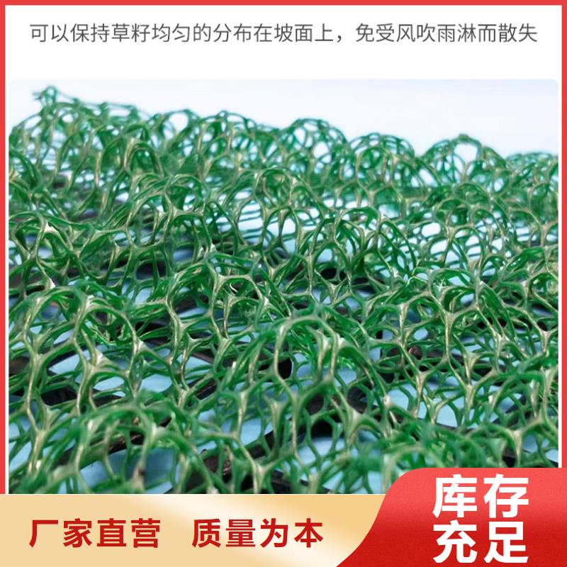 坡用三维植被实力厂家/现货供应