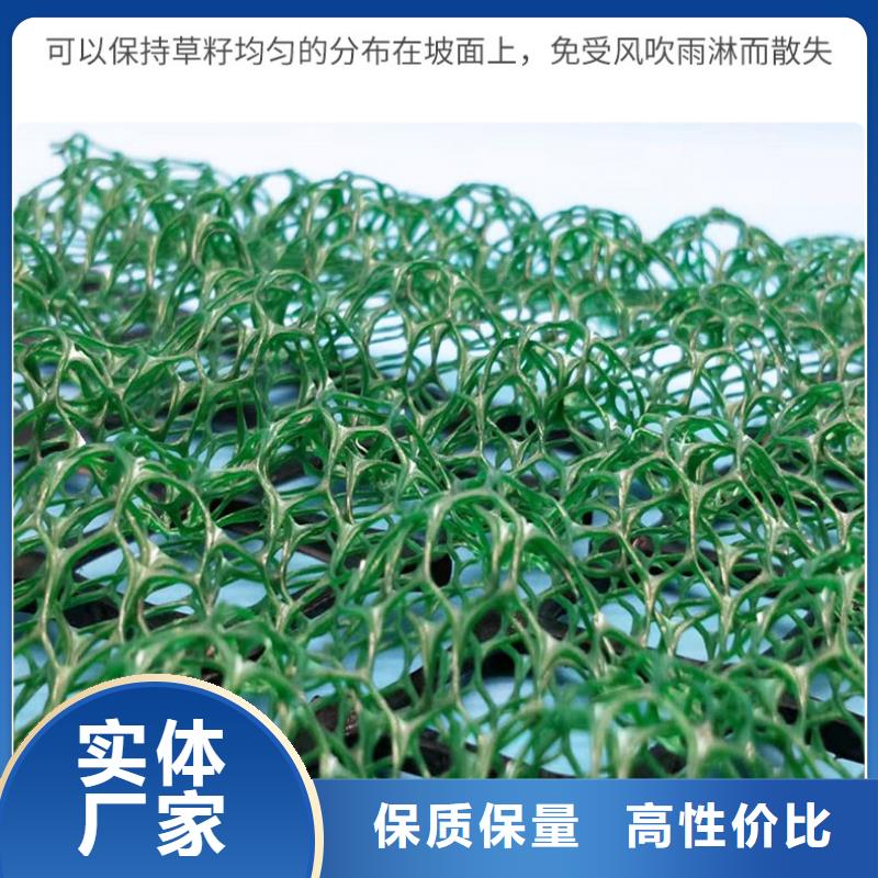 多规格三维植被网施工方法