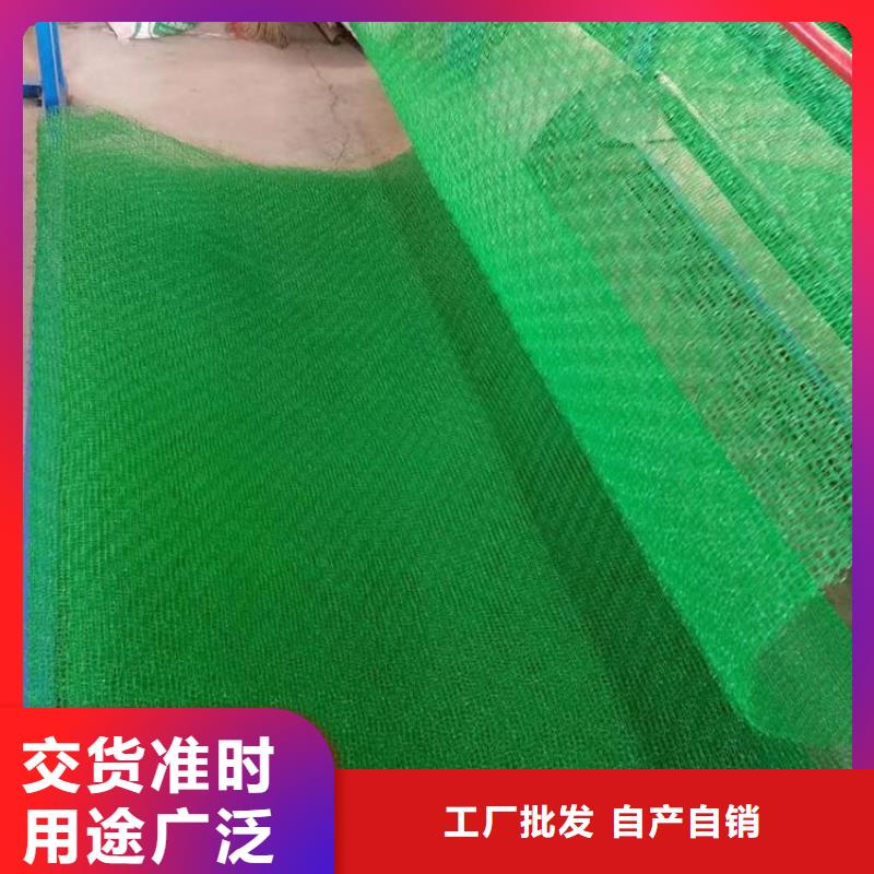 塑料三维植被网应用及领域