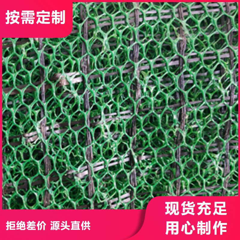 边坡防护三维植被网本年度最新报价