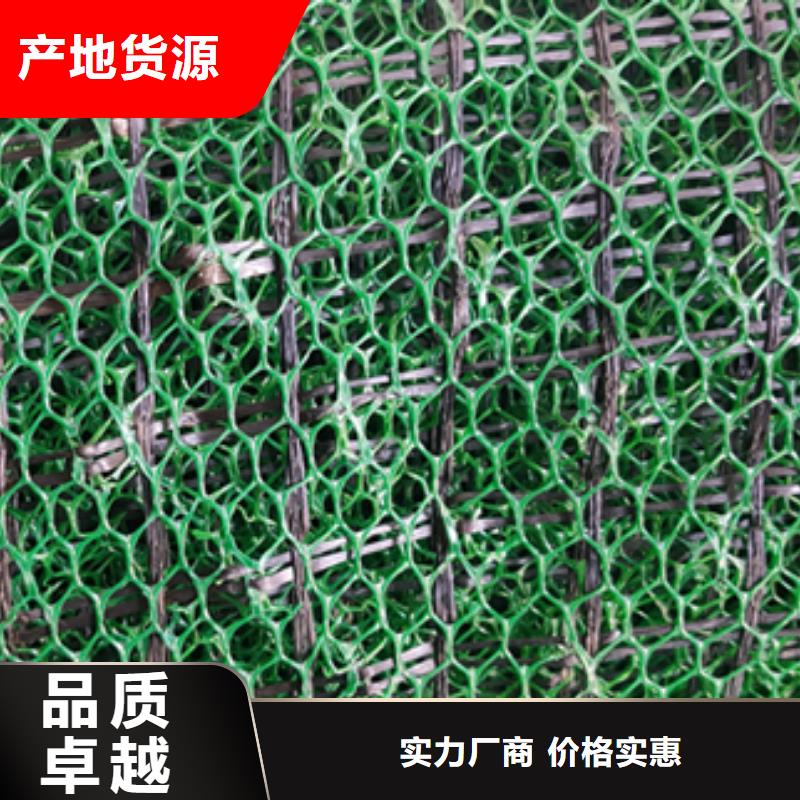 2024新型三维植被网施工方法