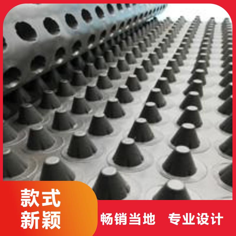 塑料排水板,加筋布生产安装