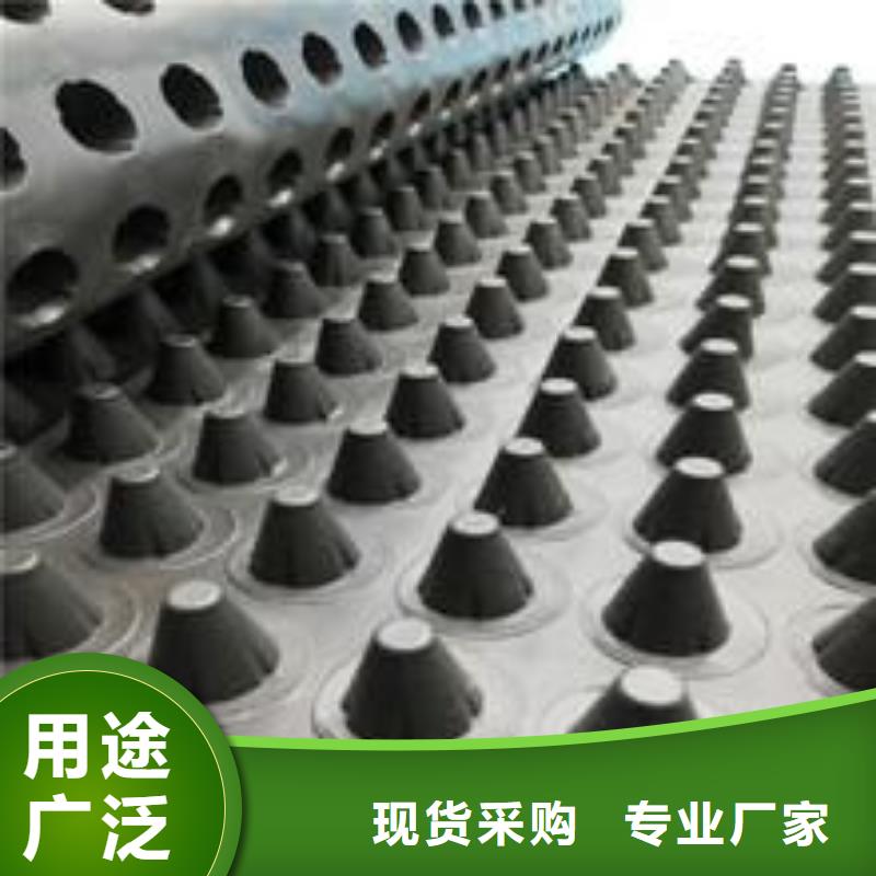 【塑料排水板,HDPE土工膜好产品不怕比】