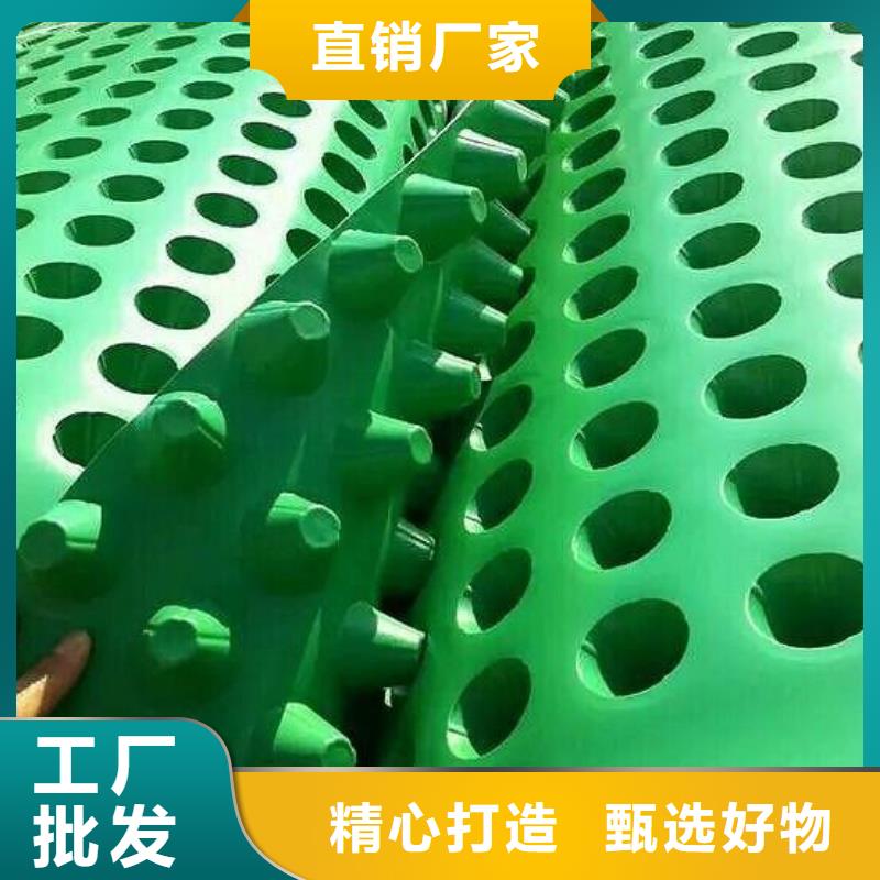 塑料排水板钢塑土工格栅N年专注
