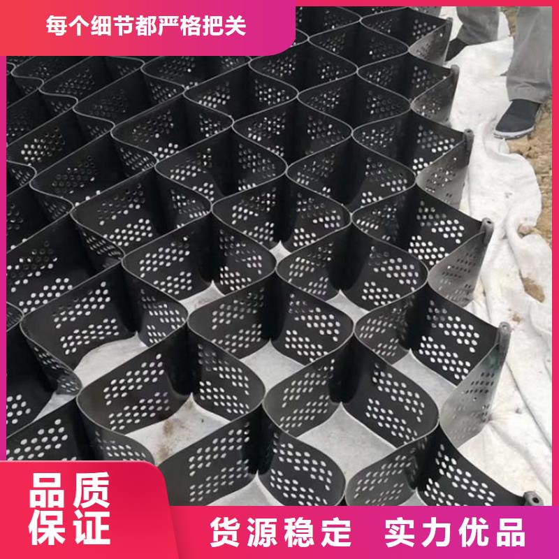 土工格室【涤纶土工格栅】高品质现货销售