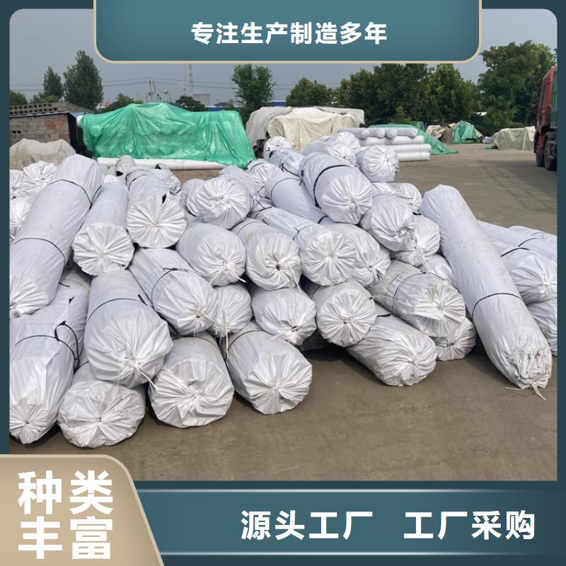 土工格栅凸结点钢塑格栅生产基地