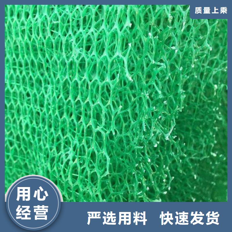 三维植被网,土工HDPE膜质量好