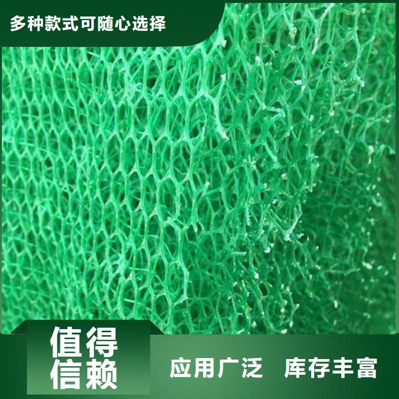 EM3三维植被网价格土工网垫价格厂家直销