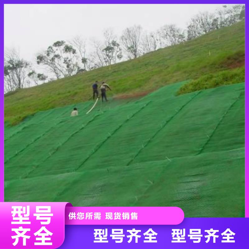 EM3三维植被网价格三维网垫价格生产基地