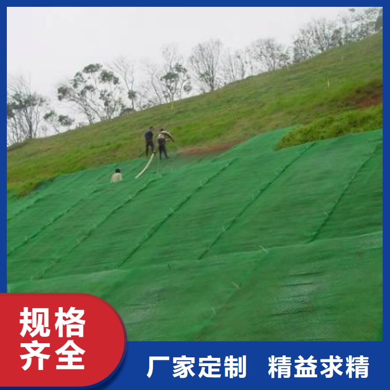 护坡三维网厂家土工网垫价格生产基地