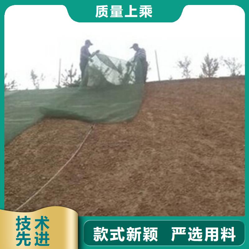 三维植被网双向塑料土工格栅细节决定成败