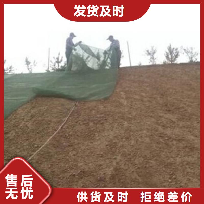 三维植被网长丝土工布质量无忧