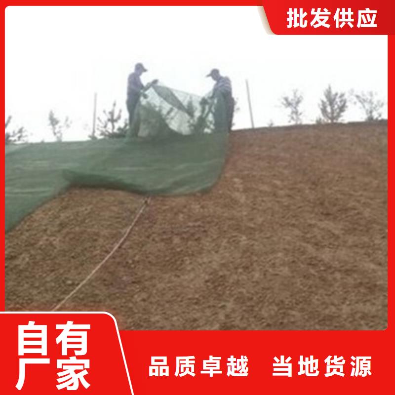 三维植被网厂家土工网垫价格生产基地