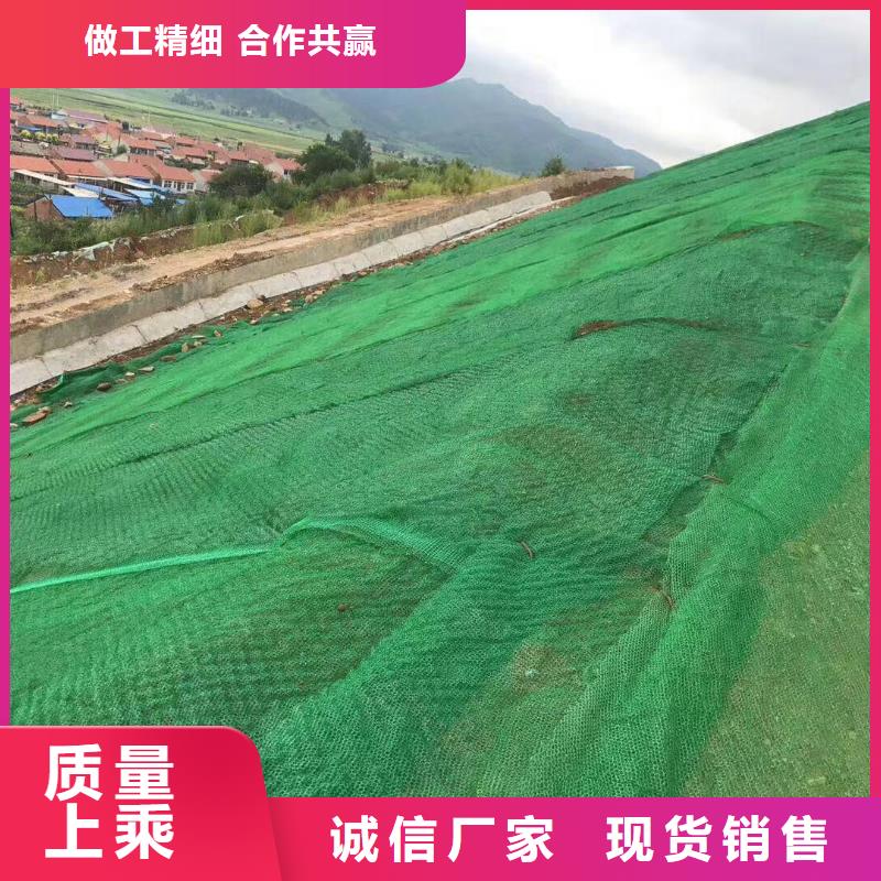 护坡三维网厂家绿化植草网价格生产基地