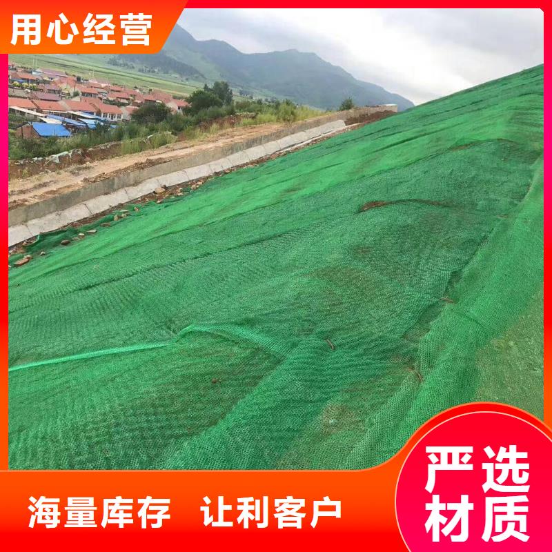 EM3三维植被网价格三维网垫价格生产基地