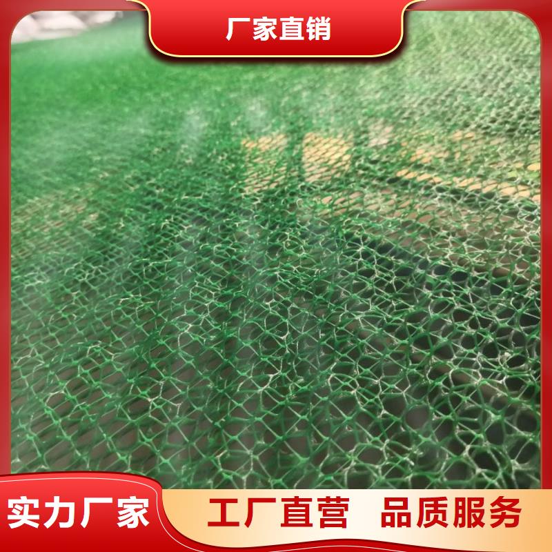 三维植被网【价格】-EM4三维植被网价格三维植被网【价格】