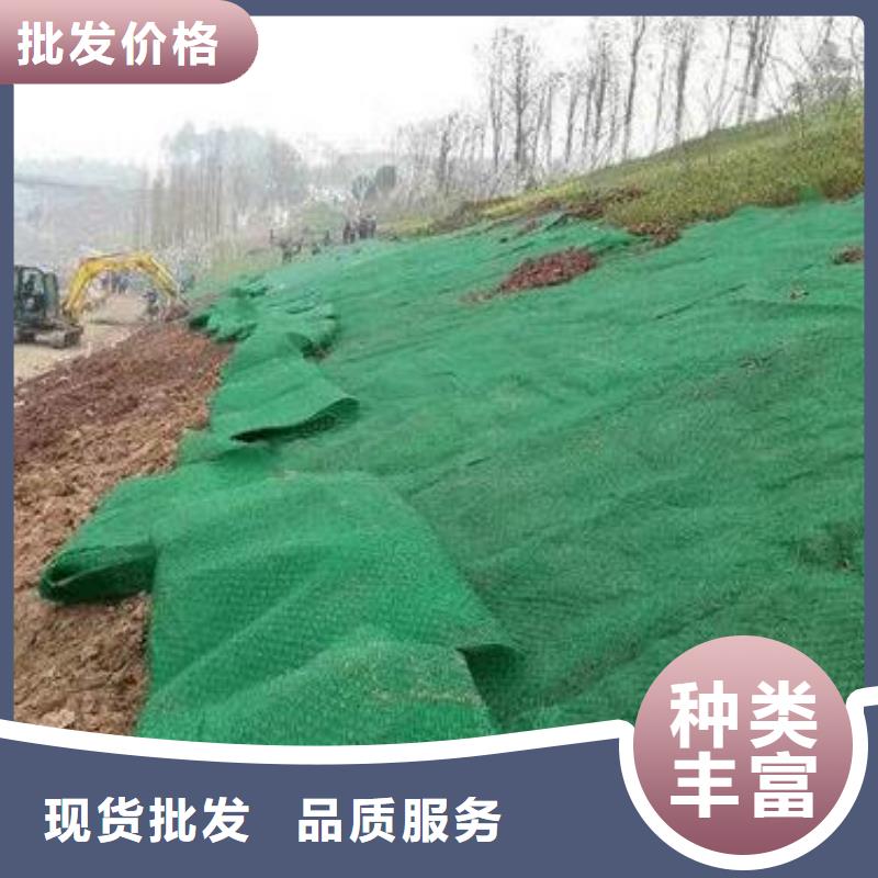 三维土工网垫厂家绿化植草网价格生产基地