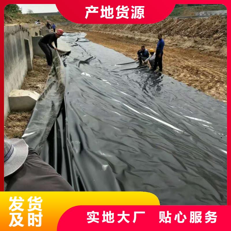 防渗土工膜水利防渗膜复合土工膜生产基地