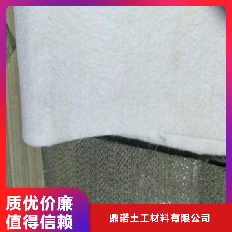 土工布-三维复合排水网高标准高品质