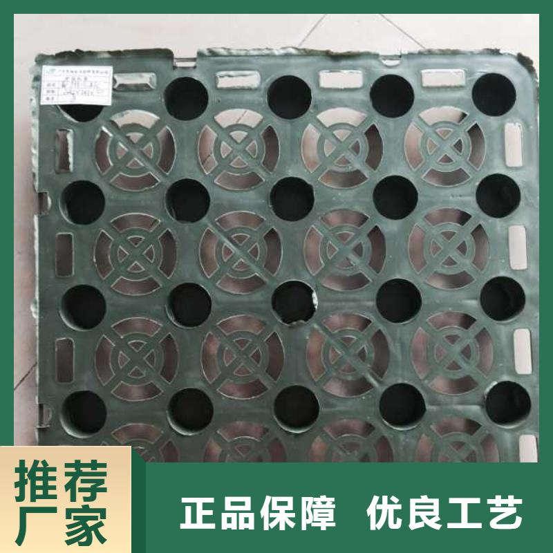 蓄排水板三维复合排水网品种全