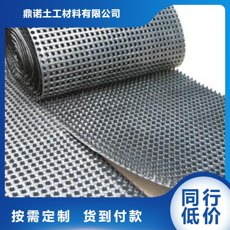 蓄排水板护坡土工网原厂制造