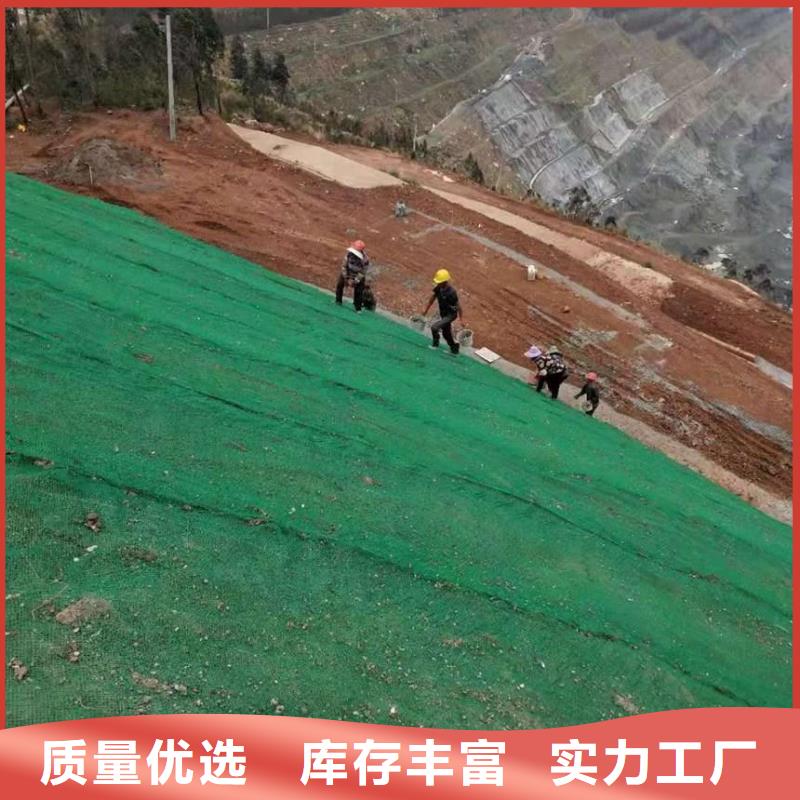 三维土工网垫厂家价格土工网垫厂家三维植被网