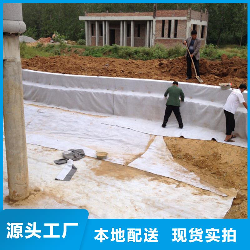 膨润土防水毯_土工席垫优选厂家